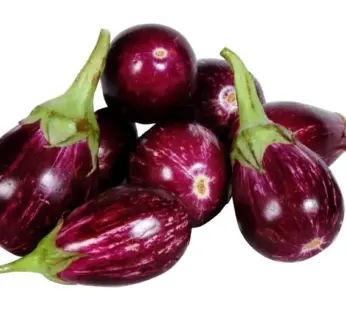 BRINJAL RED 1KG