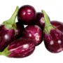 BRINJAL RED 1KG