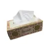 CLEANEX ARABIA