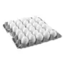 EGG 1 TRAY