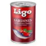 LIGO