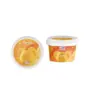 MANGO SORBET