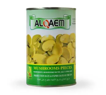 MUSHROOMS PIECES